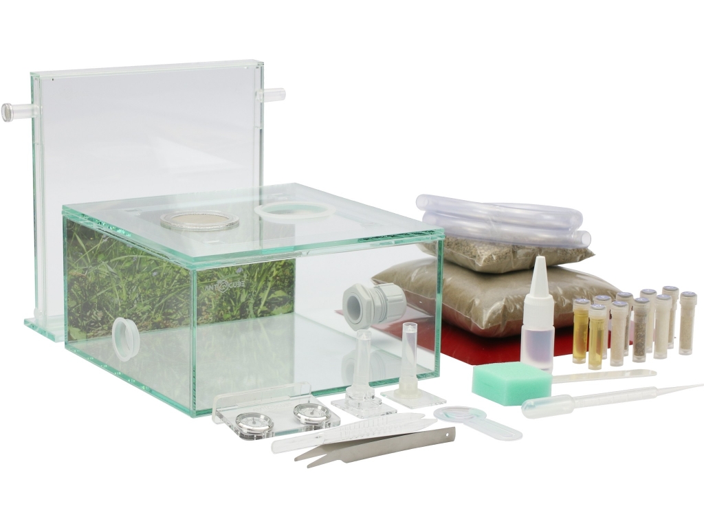 ANTCUBE Starter Kit M - 20x20 - Meadow